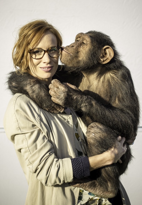 Zoo zdarma online ke shlédnutí